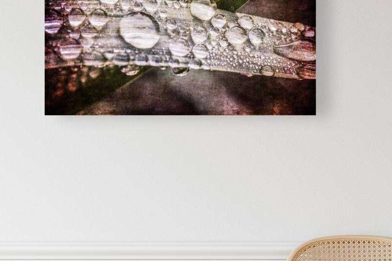 RAIN DROPS TEXTURED by JMWolinsky Photography