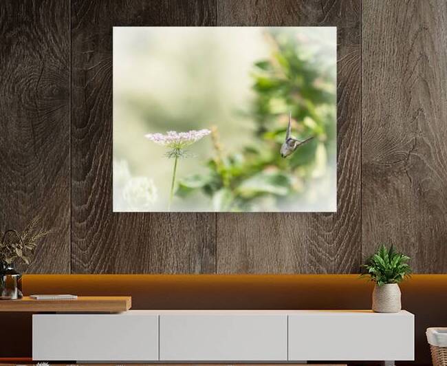Hummingbird Enough for Now 85004958 by JMWolinsky Photography