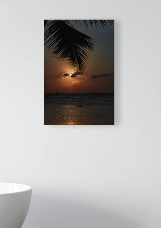 Aruba-Palm Frond and Setting Sun by JMWolinsky Photography