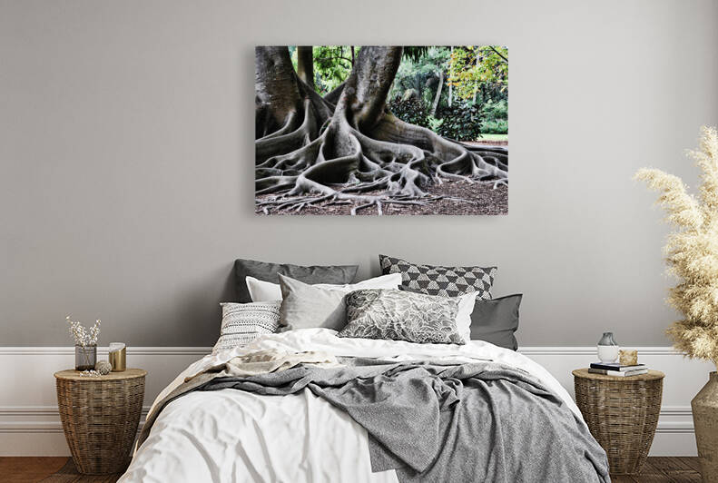 BIG ROOTS Reproduction