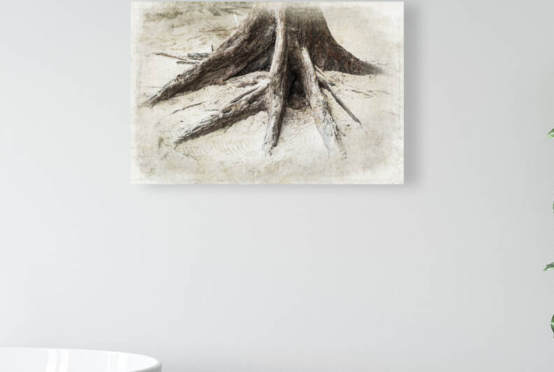 TREES-Octopus Roots by JMWolinsky Photography