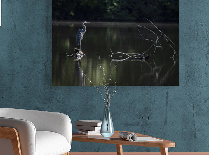 GREAT BLUE HERON-THE HERON OF BRINTON LAKE by JMWolinsky Photography
