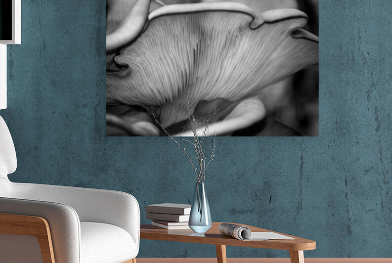 JACK O LANTERN MUSHROOM 2 bw DSC 0249 by JMWolinsky Photography