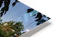 GARDEN PARTY HD Metal print