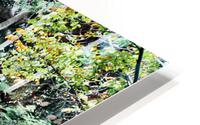 BIG ROOTS HD Metal print