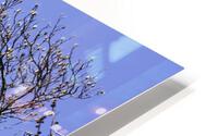 MORNING MOON HD Metal print