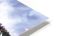 RESTING PF0 9335 HD Metal print