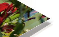 BACK FOR MORE HD Metal print