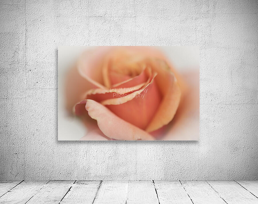 DREAMY Wall Preview
