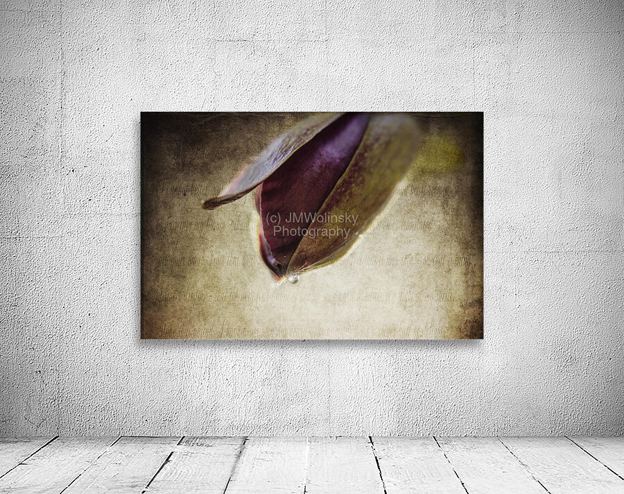 BUDDING Wall Preview