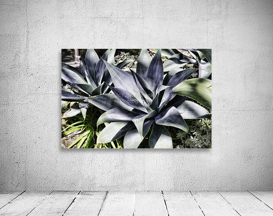 ALOE Wall Preview