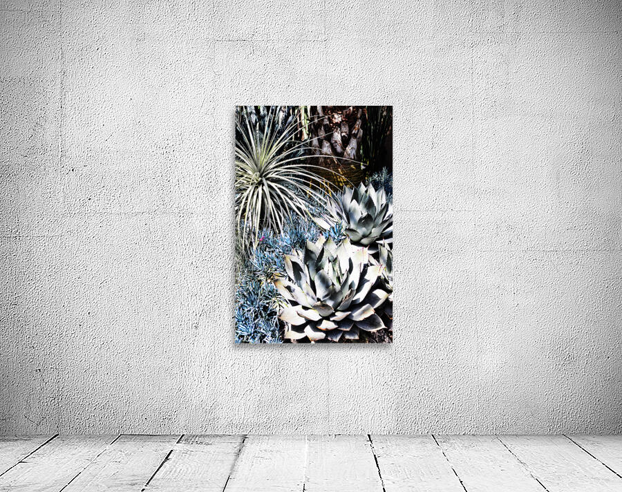 DESERT GARDEN Wall Preview