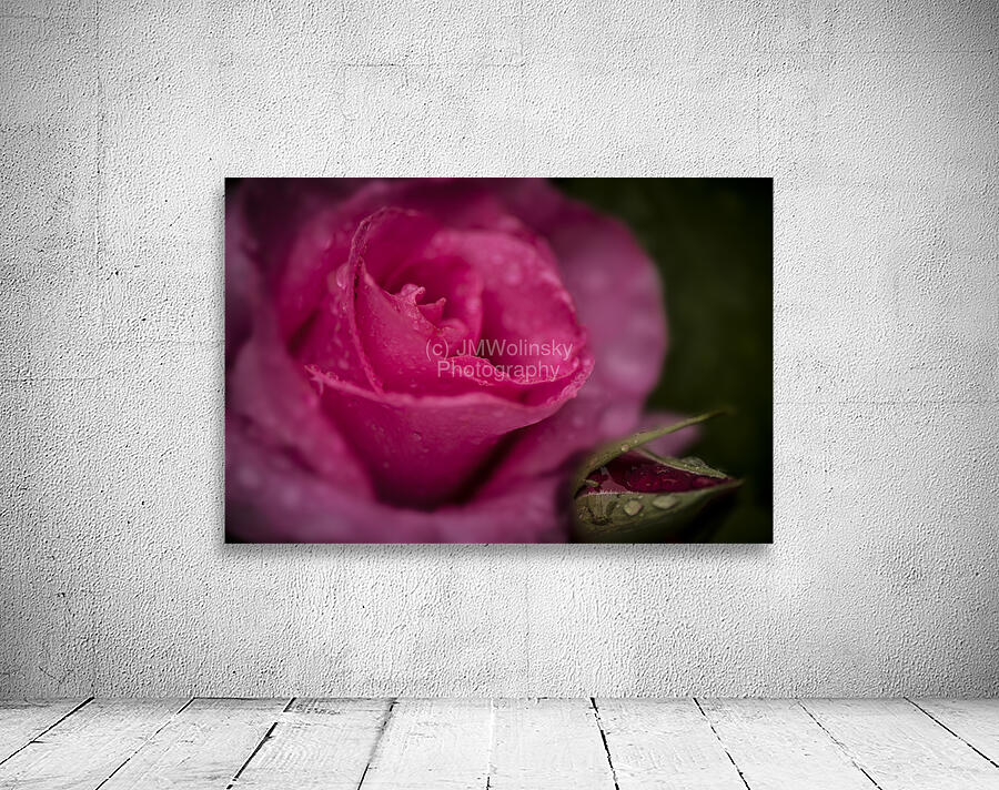 McCartney Rose Wall Preview