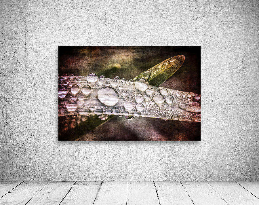 RAIN DROPS TEXTURED Wall Preview