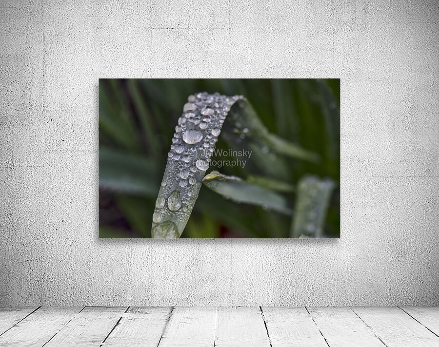 RAIN DROPS Wall Preview