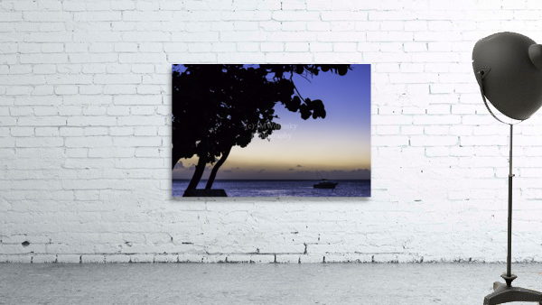 DUSK7022 Wall Preview