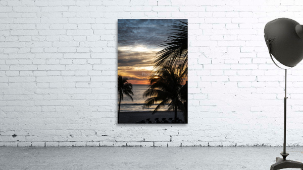 Florida-Early Riser Wall Preview