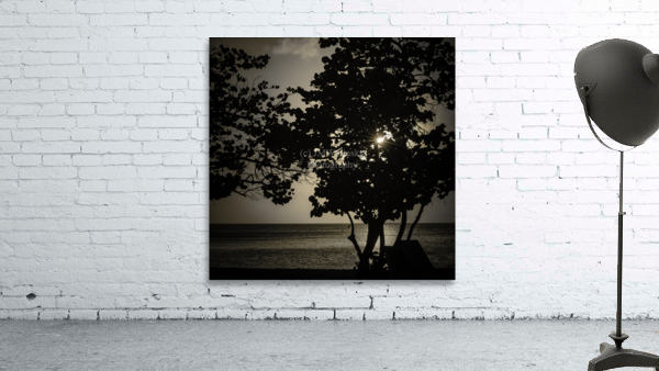 SUNBURST PF0 7006 Edit Edit Wall Preview