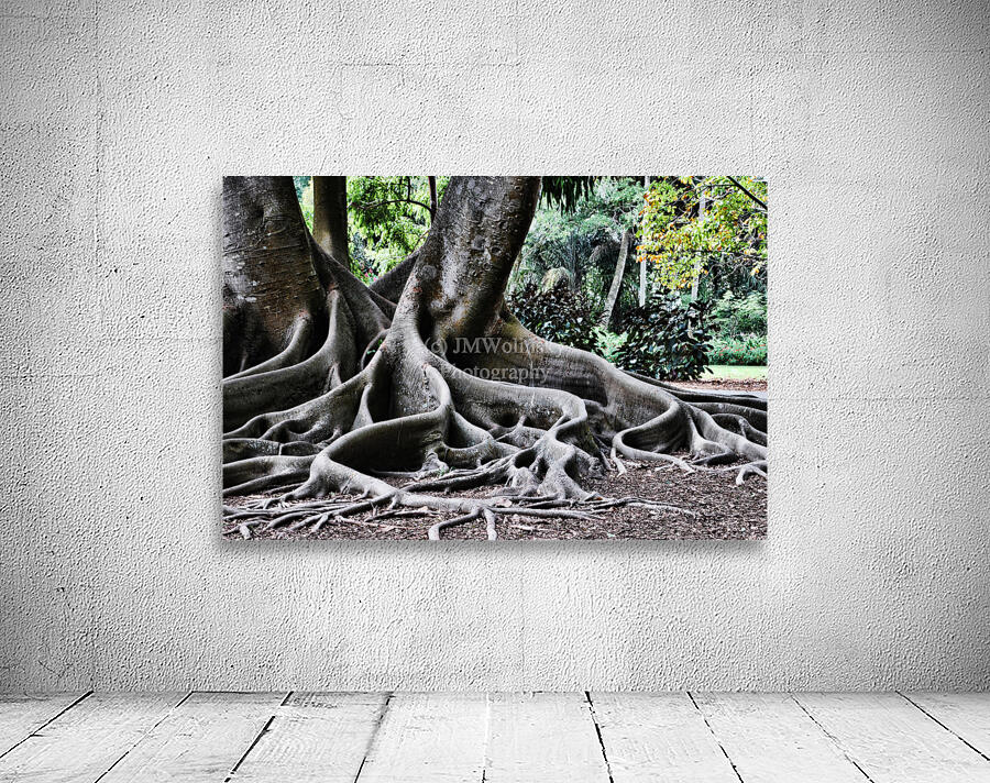 BIG ROOTS Wall Preview