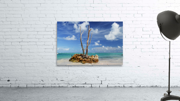 LONE TREE 2 Wall Preview