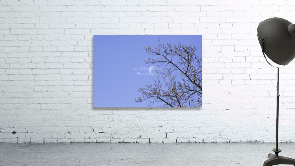 MORNING MOON Wall Preview
