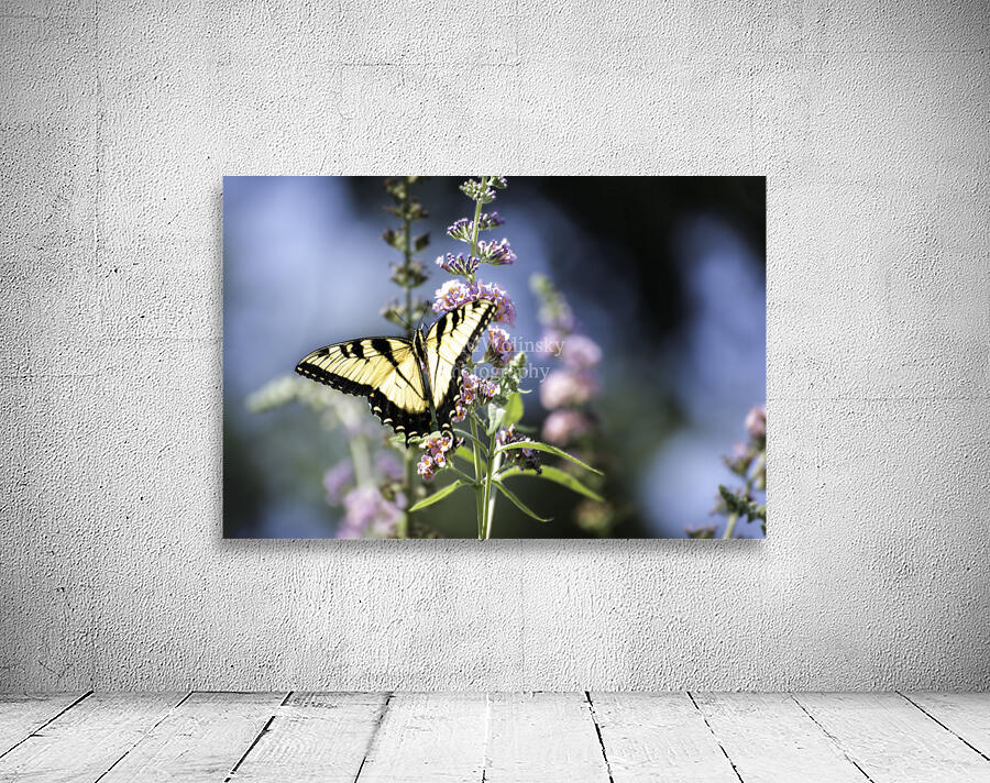 SPREAD YOUR WINGS PF0 9505 Wall Preview