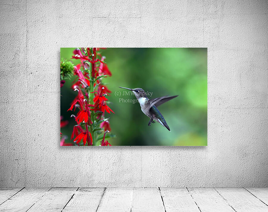 PICTURE PERFECT Wall Preview