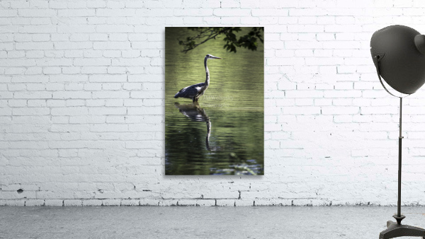 WADING 0372 2 Wall Preview