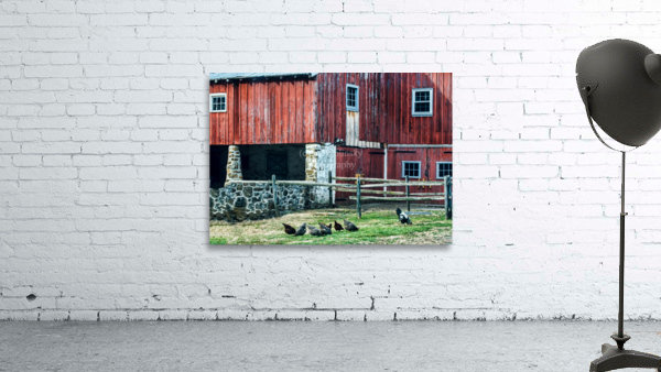 CHESTER COUNTY CHICKENS Wall Preview