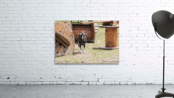 SECOND IN COMMAND PF02386 Wall Preview