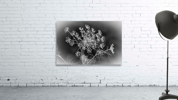 DILLY DILLY PF03058 1 Wall Preview