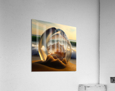 Inside a Translucent Seashell 2 Acrylic Print