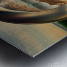 Inside a Translucent Seashell 2 Metal print