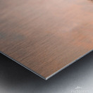 DSC00433 Enhanced SR Metal print