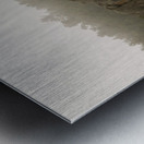 DSC09135 Metal print