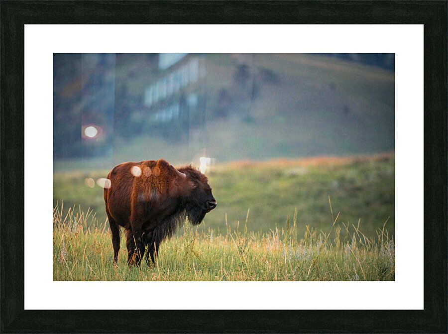 DSC00443 Enhanced SR Picture Frame print