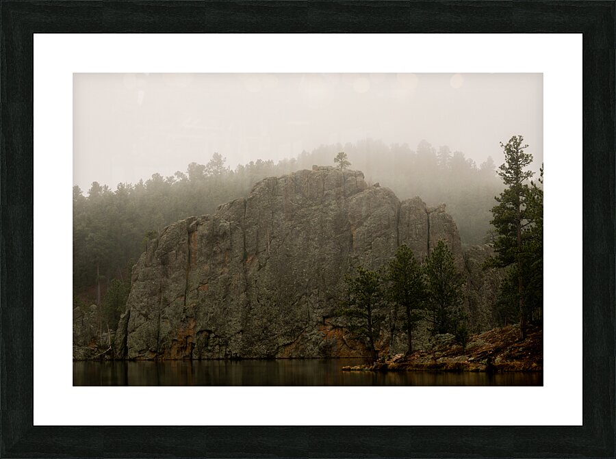 DSC09135 Picture Frame print