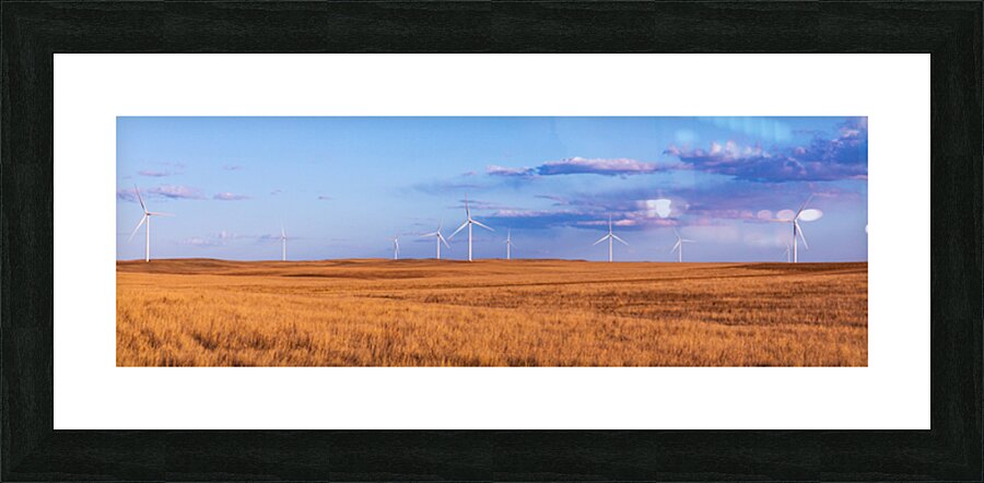 CPP 1194 Enhanced SR Picture Frame print