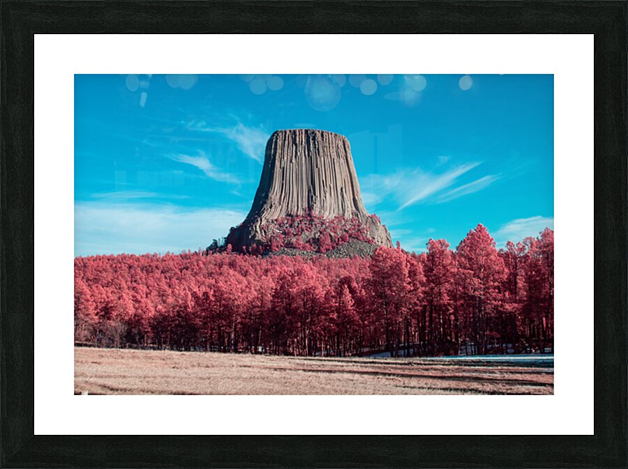 DSC 1528 Picture Frame print