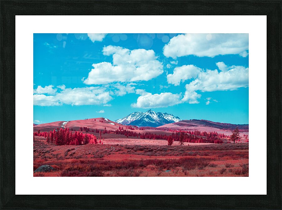 2 19 Picture Frame print