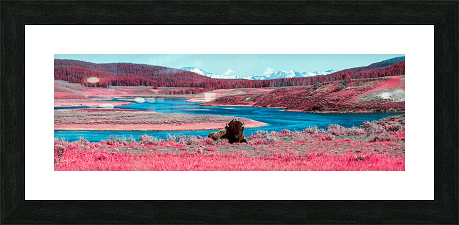 2 34 Picture Frame print
