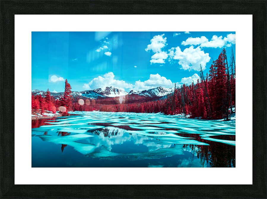 2 45 Picture Frame print