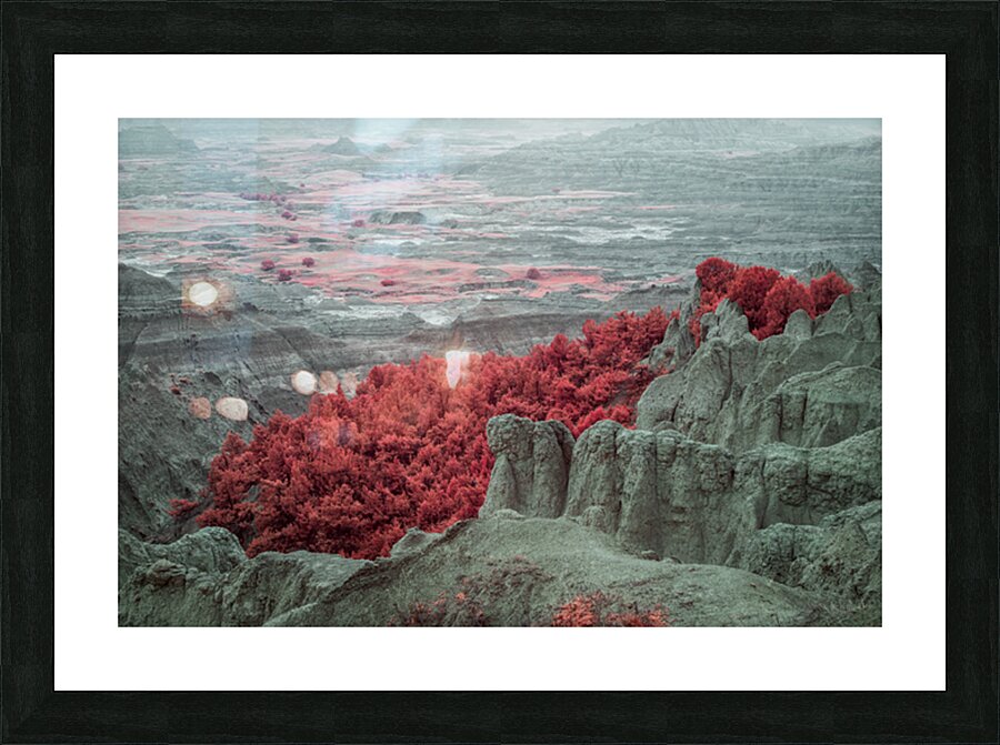 BlackHillsFinal 46 Picture Frame print