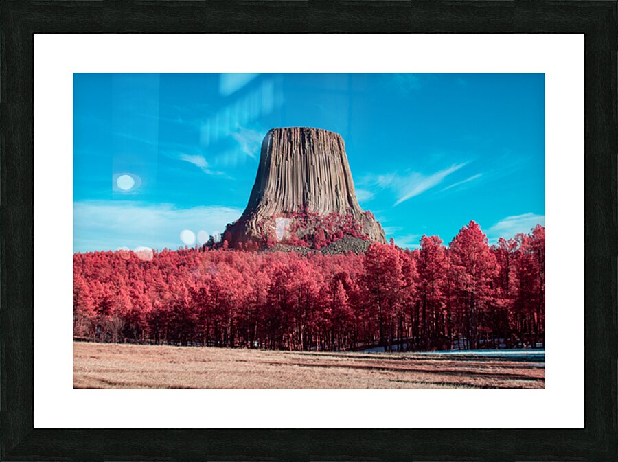 BlackHillsFinal 2 Picture Frame print