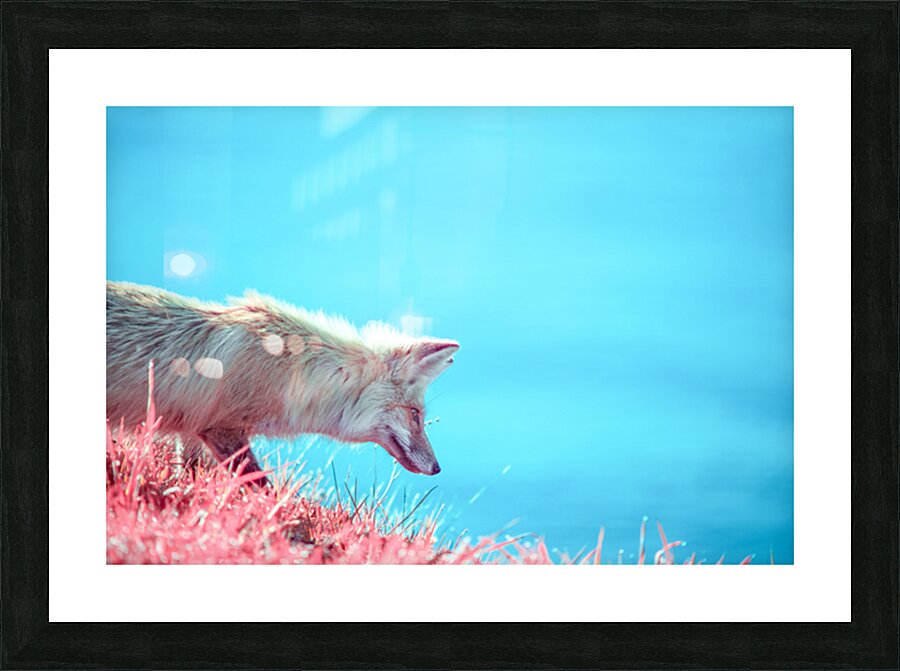 2 3  2 2 Picture Frame print