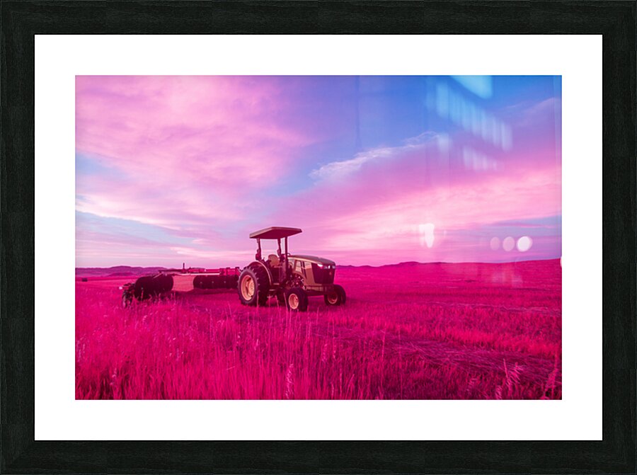 DSC03773 Picture Frame print