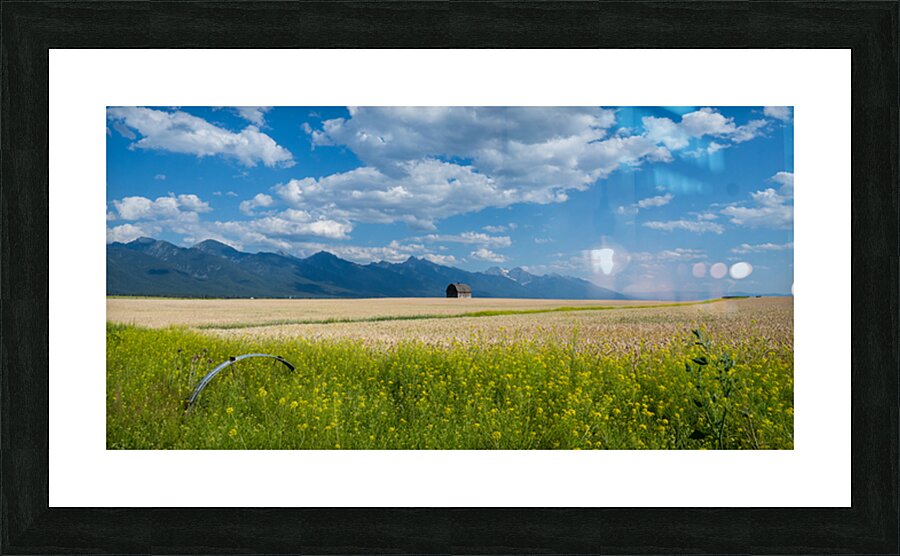 DSC01073 Picture Frame print