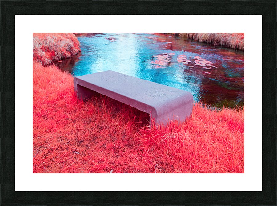 f22490416 2 Picture Frame print