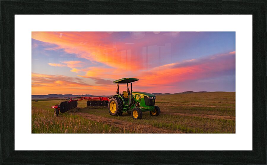 DSC01200 Picture Frame print