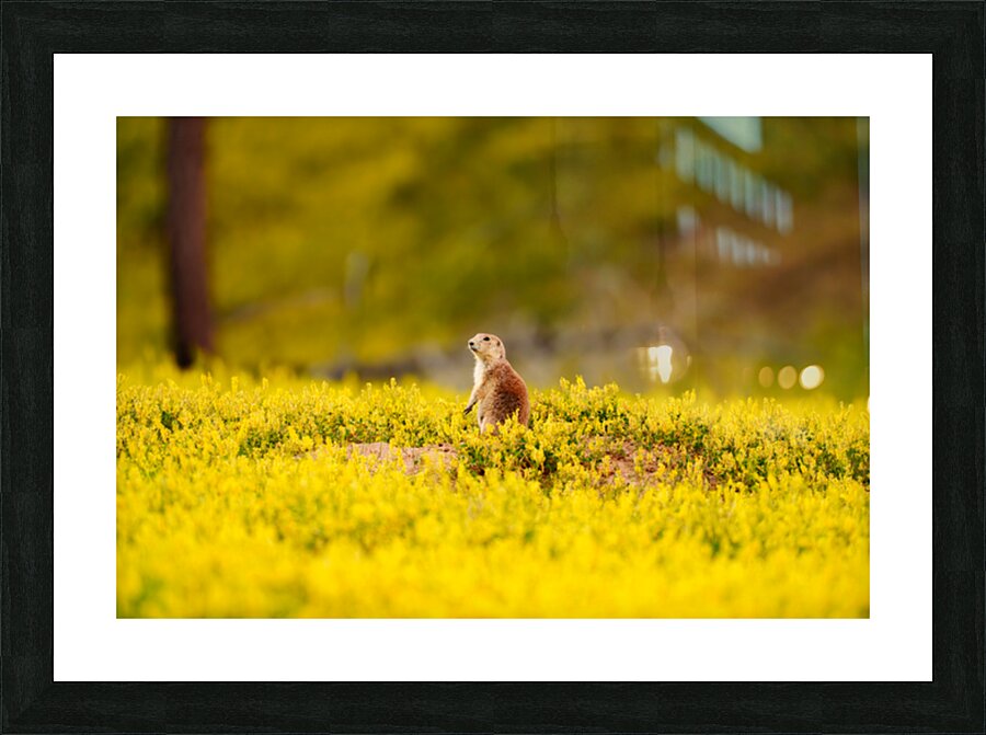 CPP04640 Picture Frame print